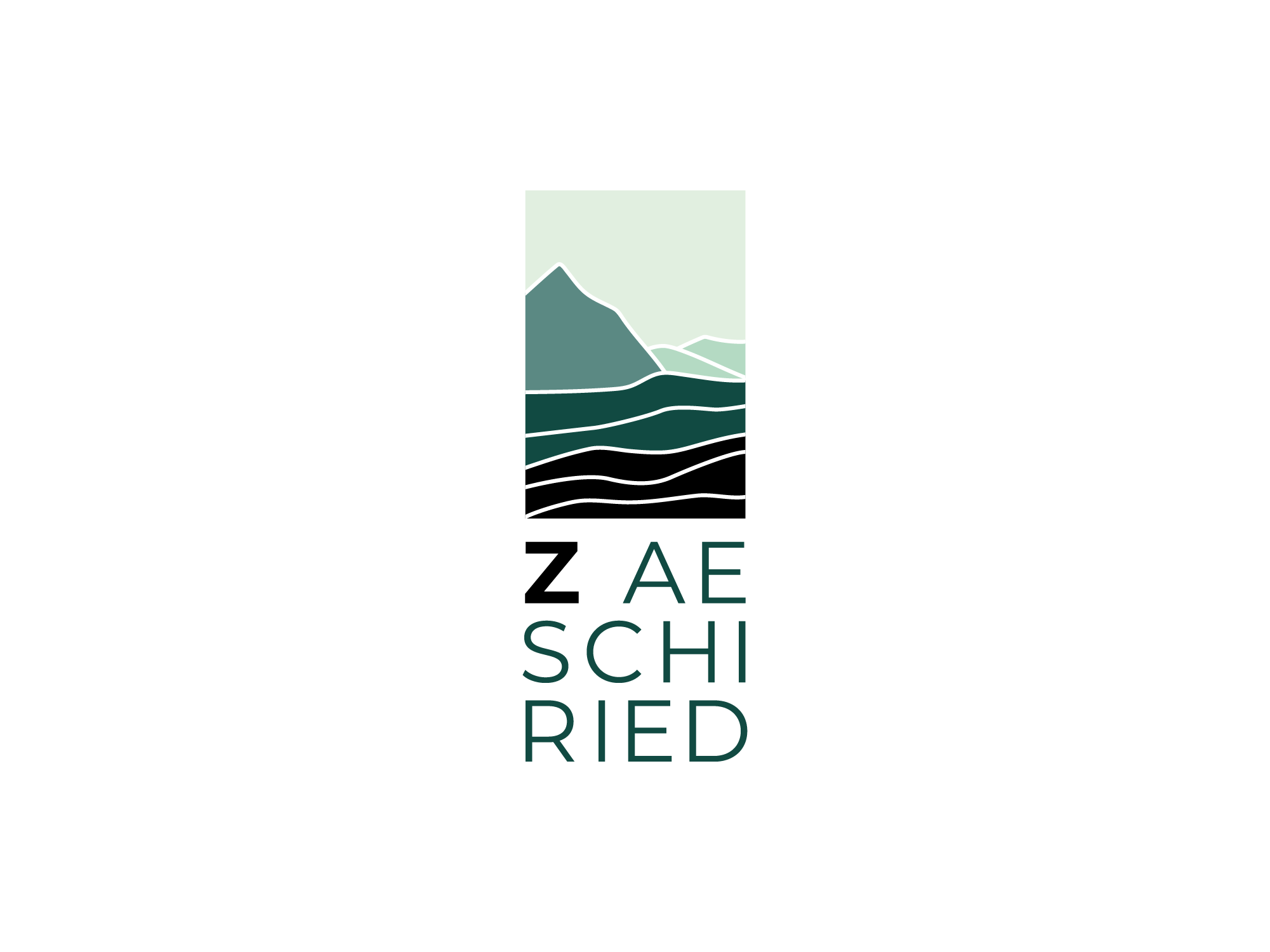 The Project Black Logofolio ZAeschiried